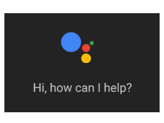 google assistant