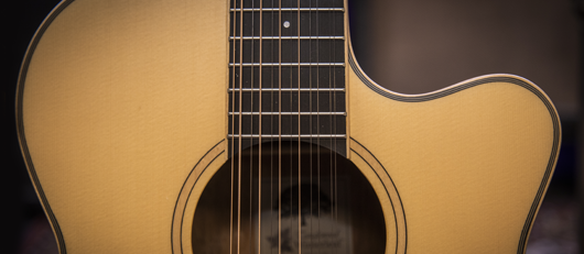 12 String Acoustic Guitars