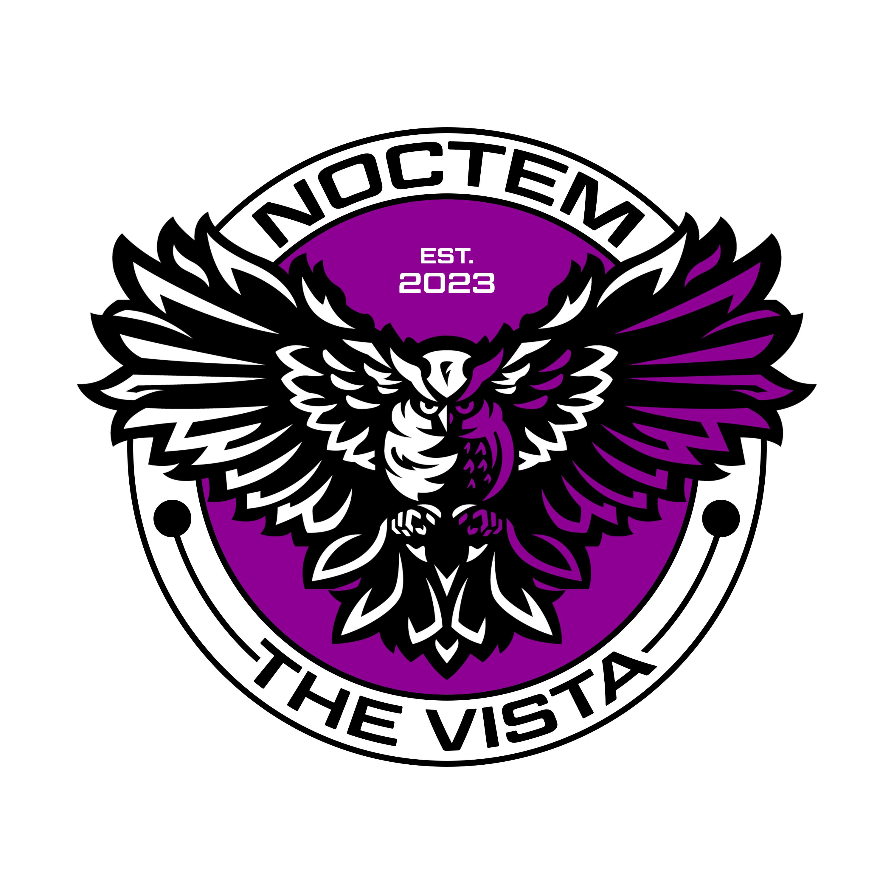 noctem logo