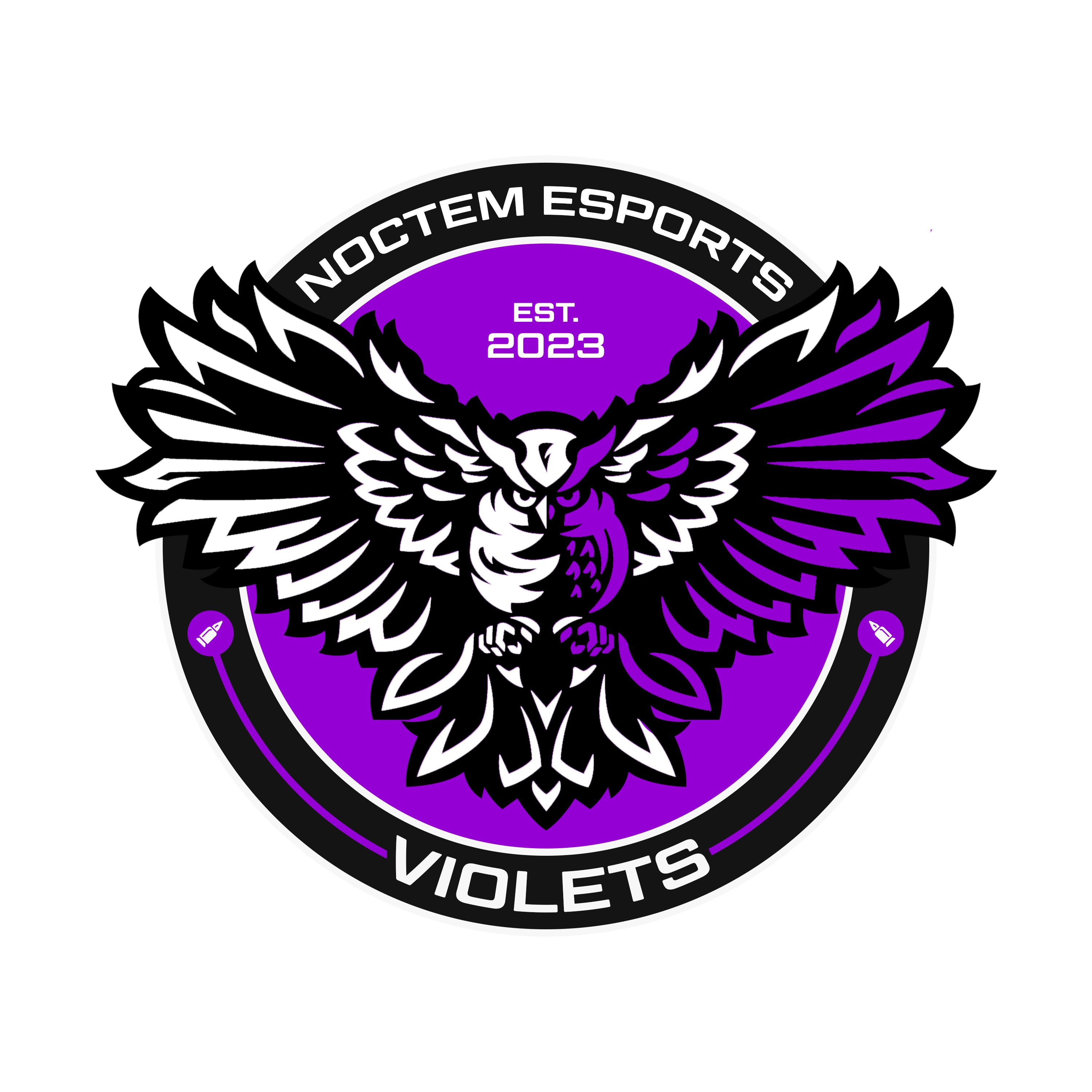 noctem logo