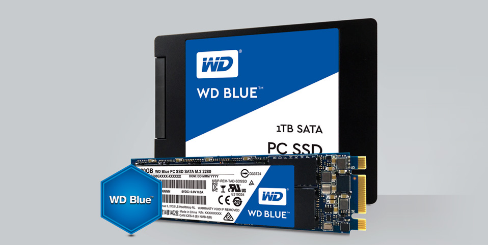 WD Blue™ SATA Internal SSD Hard Drive 2.5”/7mm cased